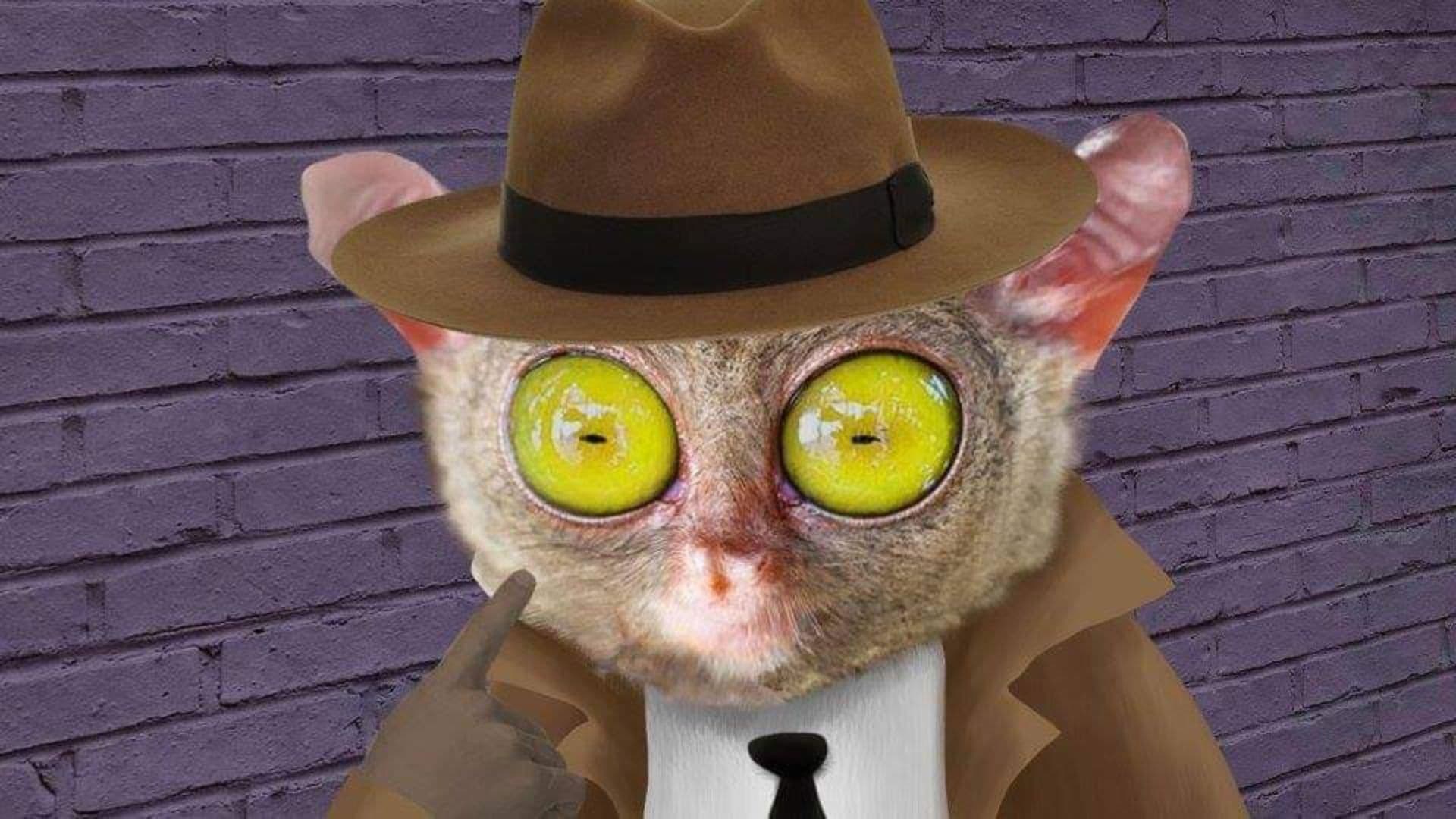 Lorenzo Delgado, Private Investigator