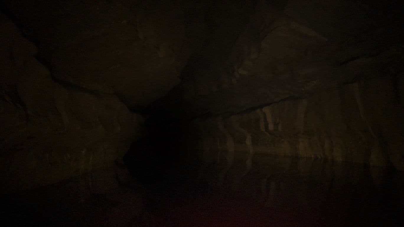 The Belly of the Beast