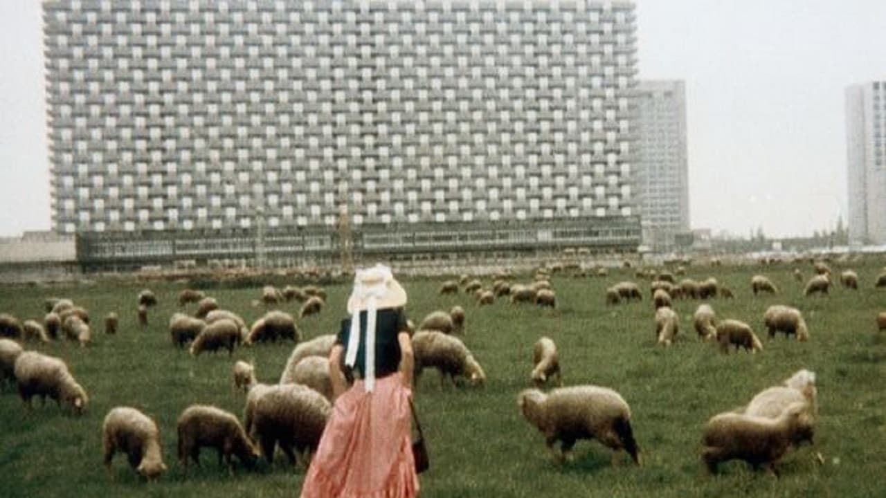 Liebe, so schön wie Liebe