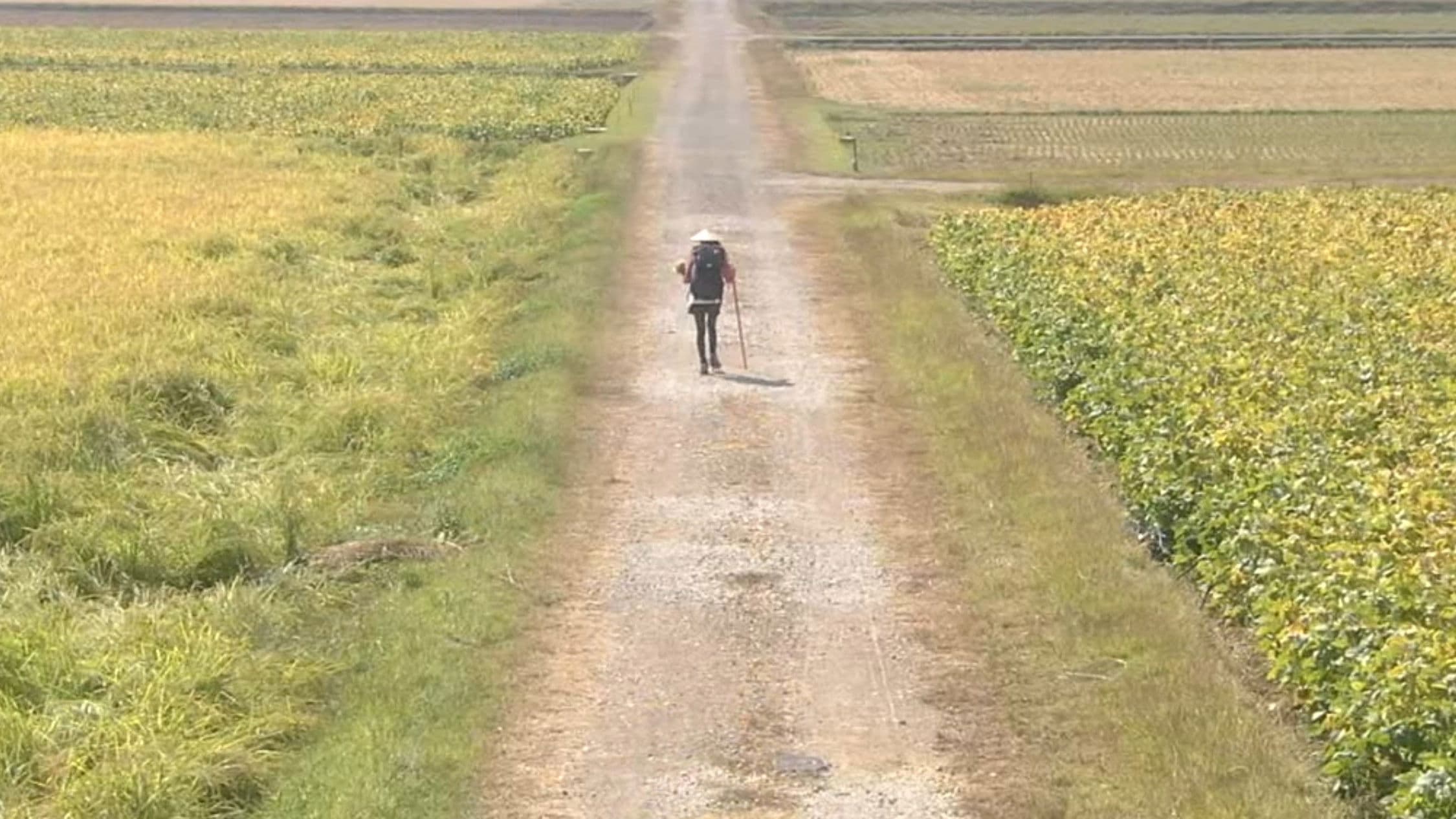 Walk, Walk, Walk ~ Shikoku Pilgrimage Journey