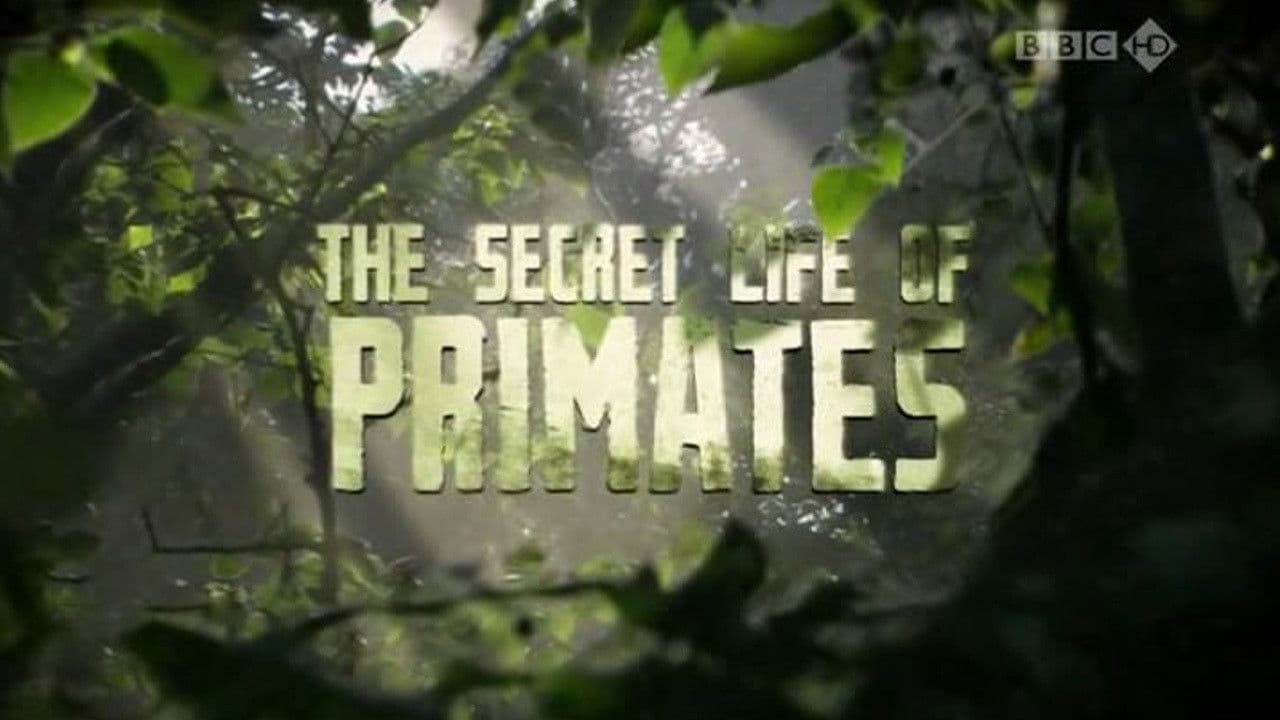 The Secret Life of Primates