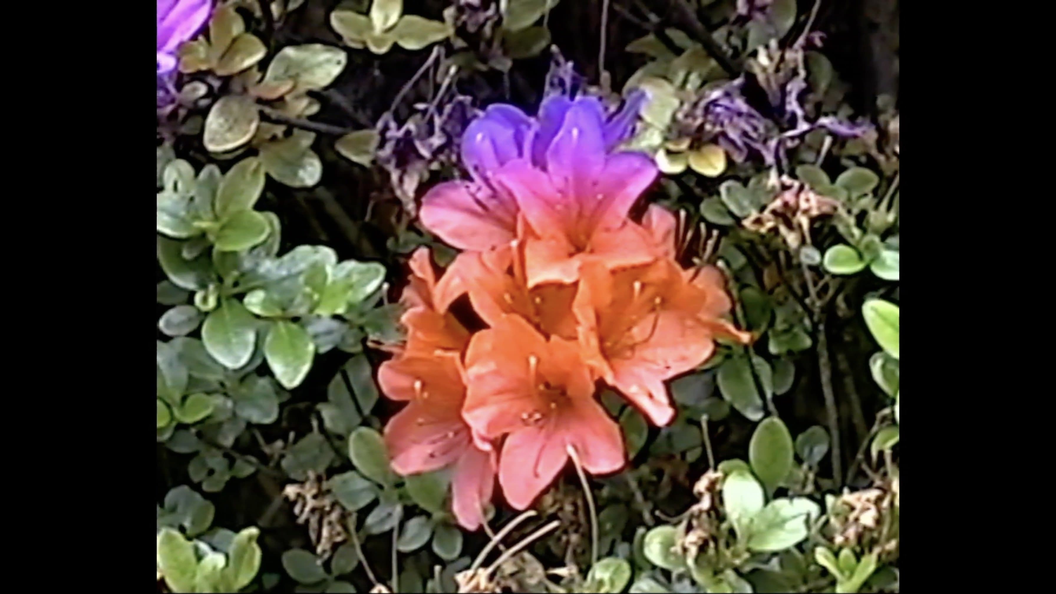 memory consolidation 01