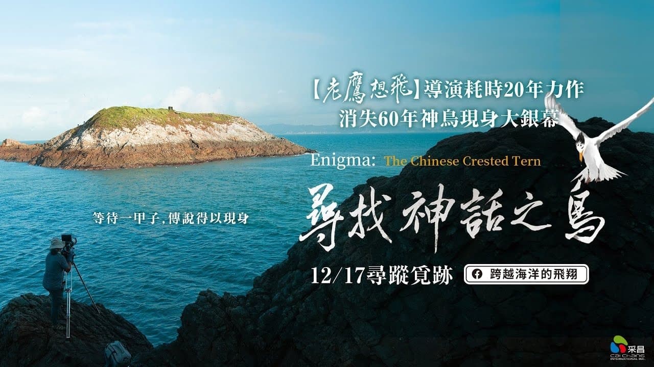 Enigma: The Chinese Crested Tern