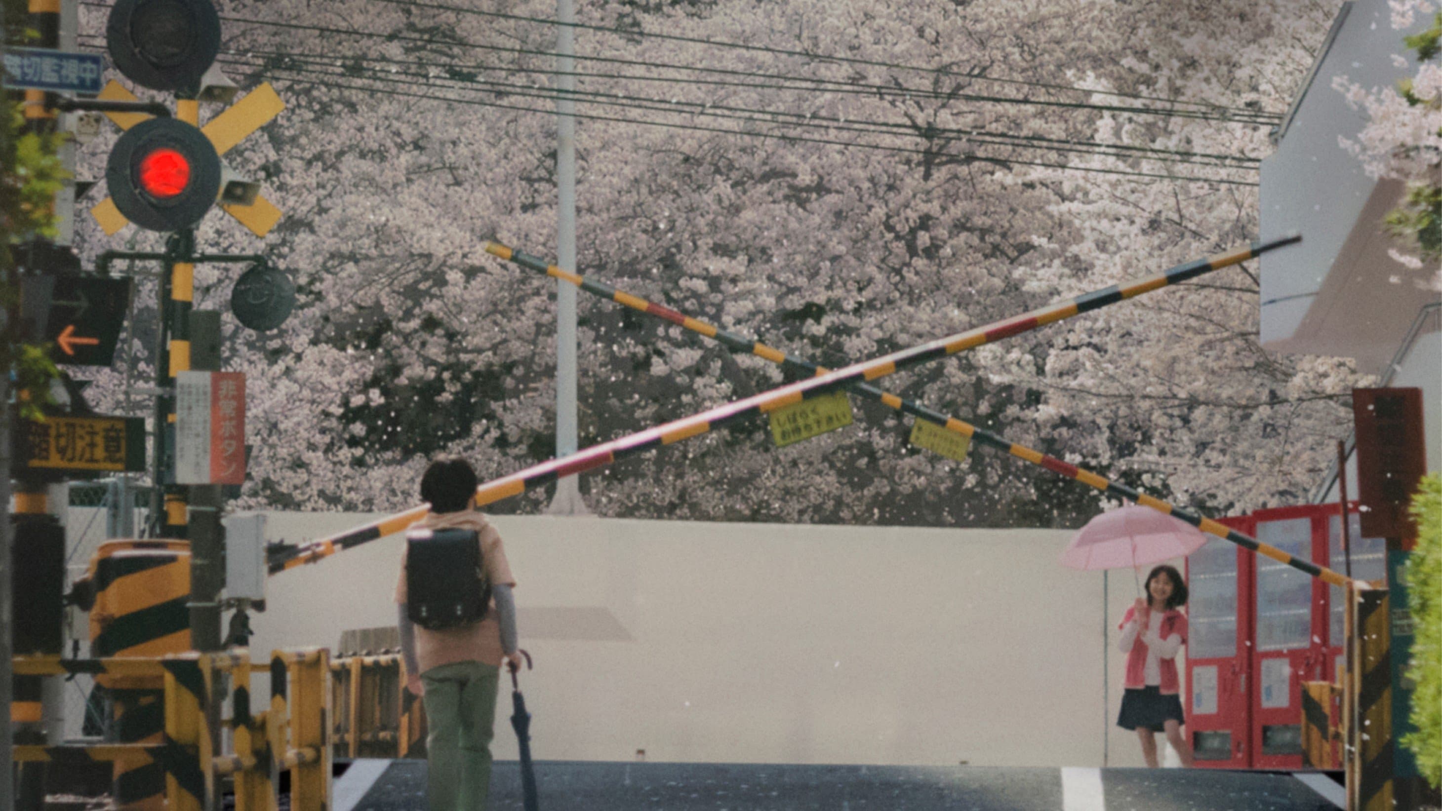 5 Centimeters Per Second