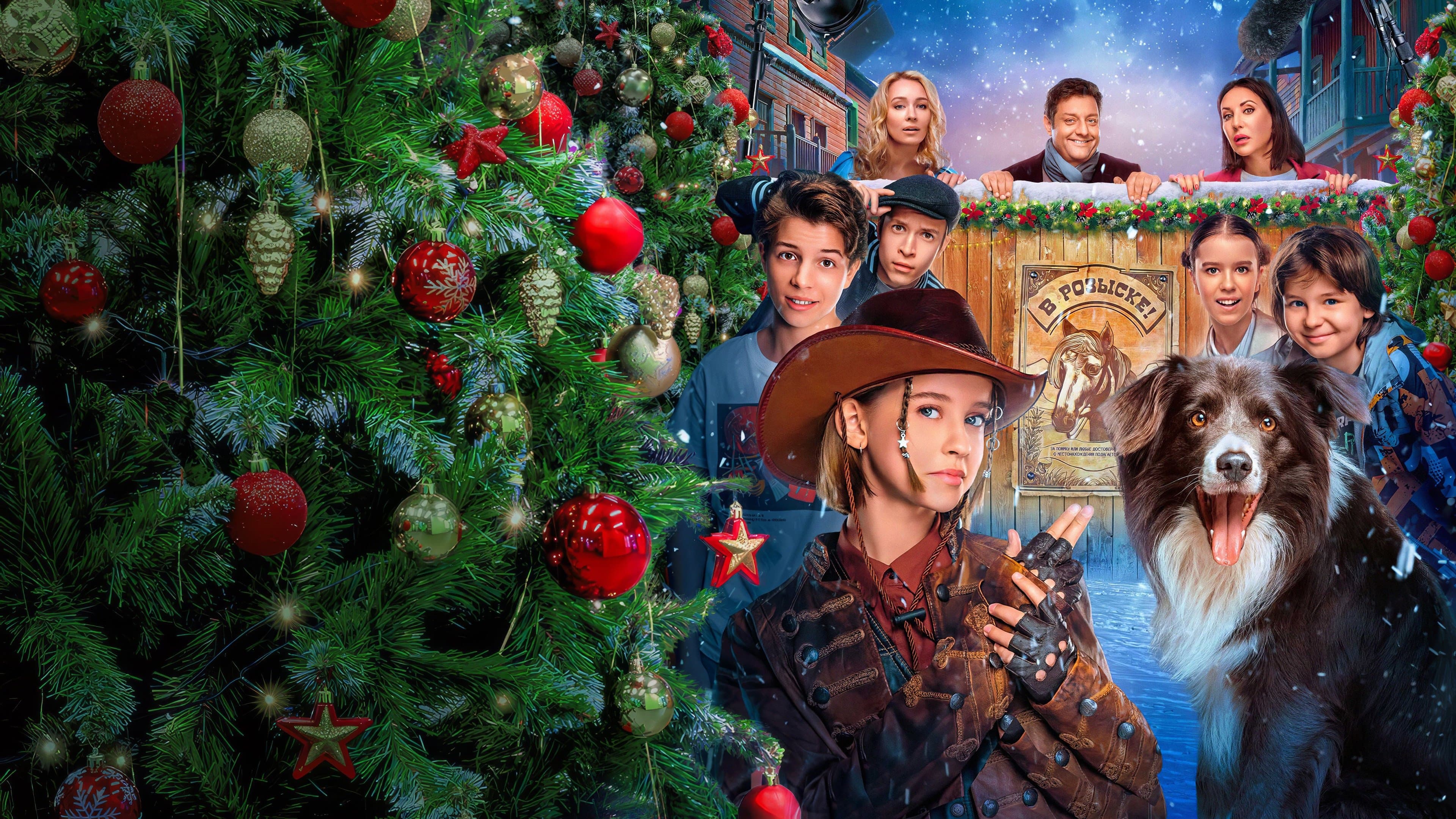 Home Alone. The Magnificent Five