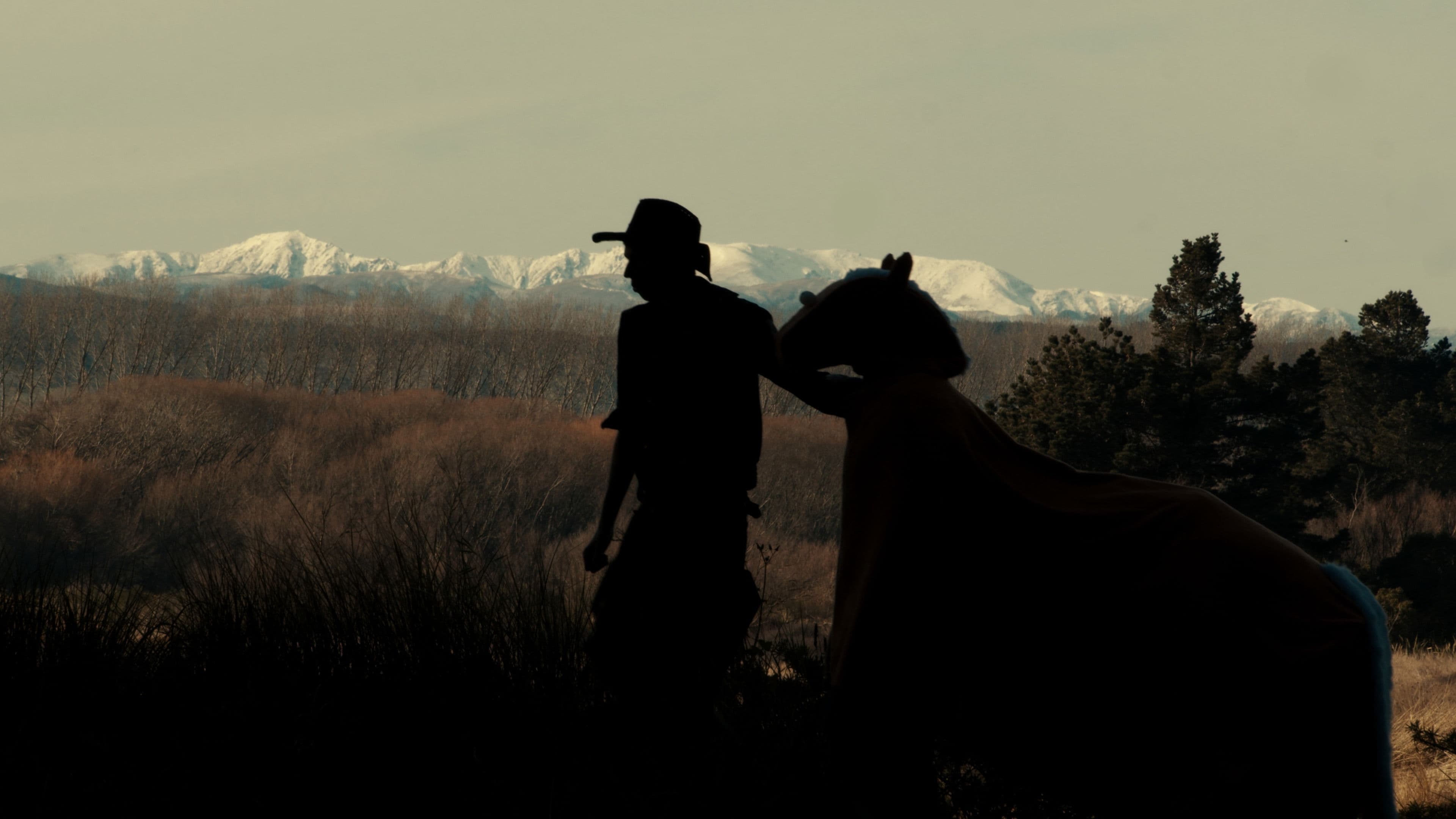 The True Story of Billy the Horse