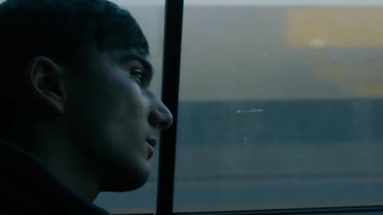 The Boy Who Wore the Sun