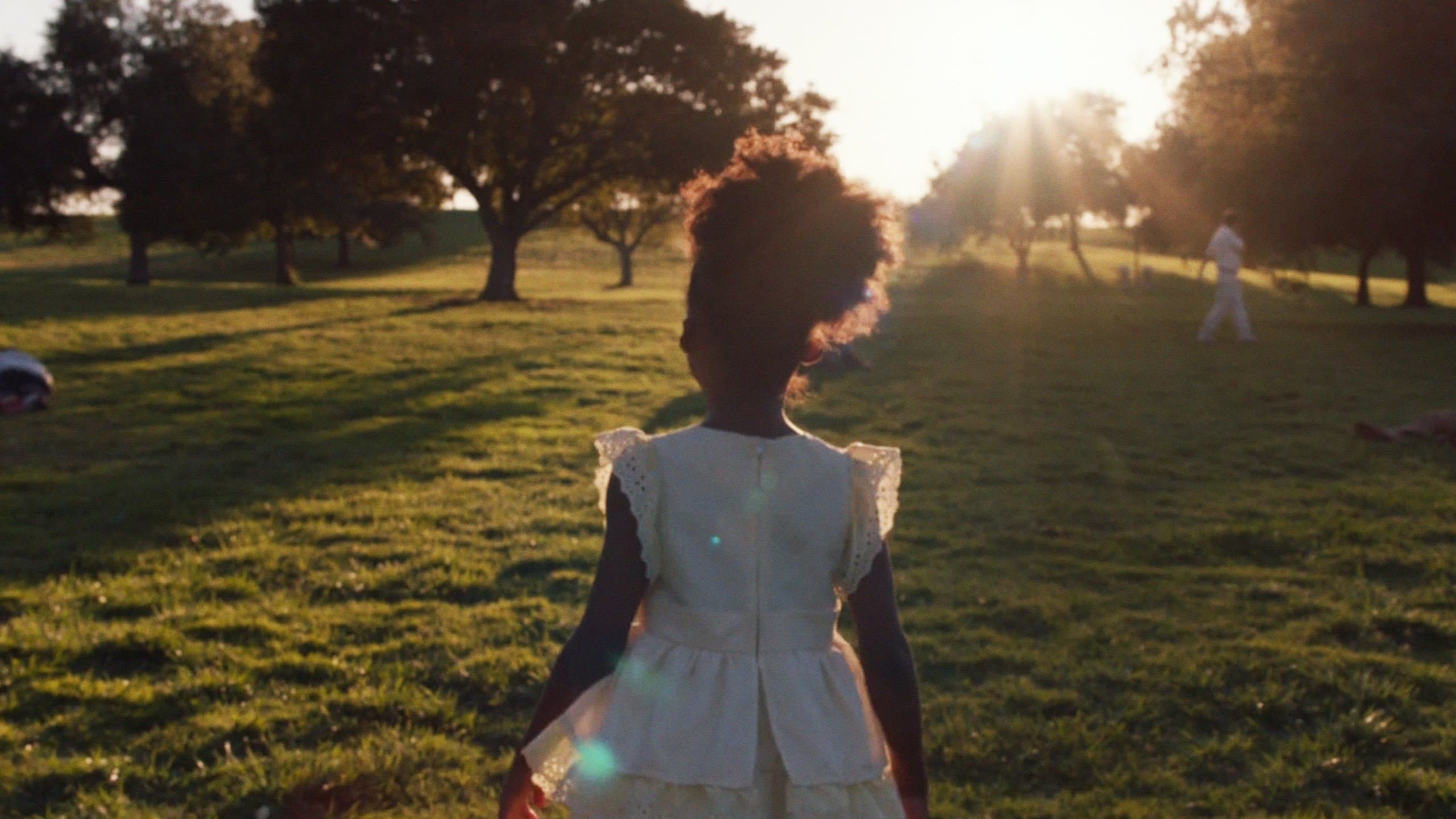 They Charge for the Sun