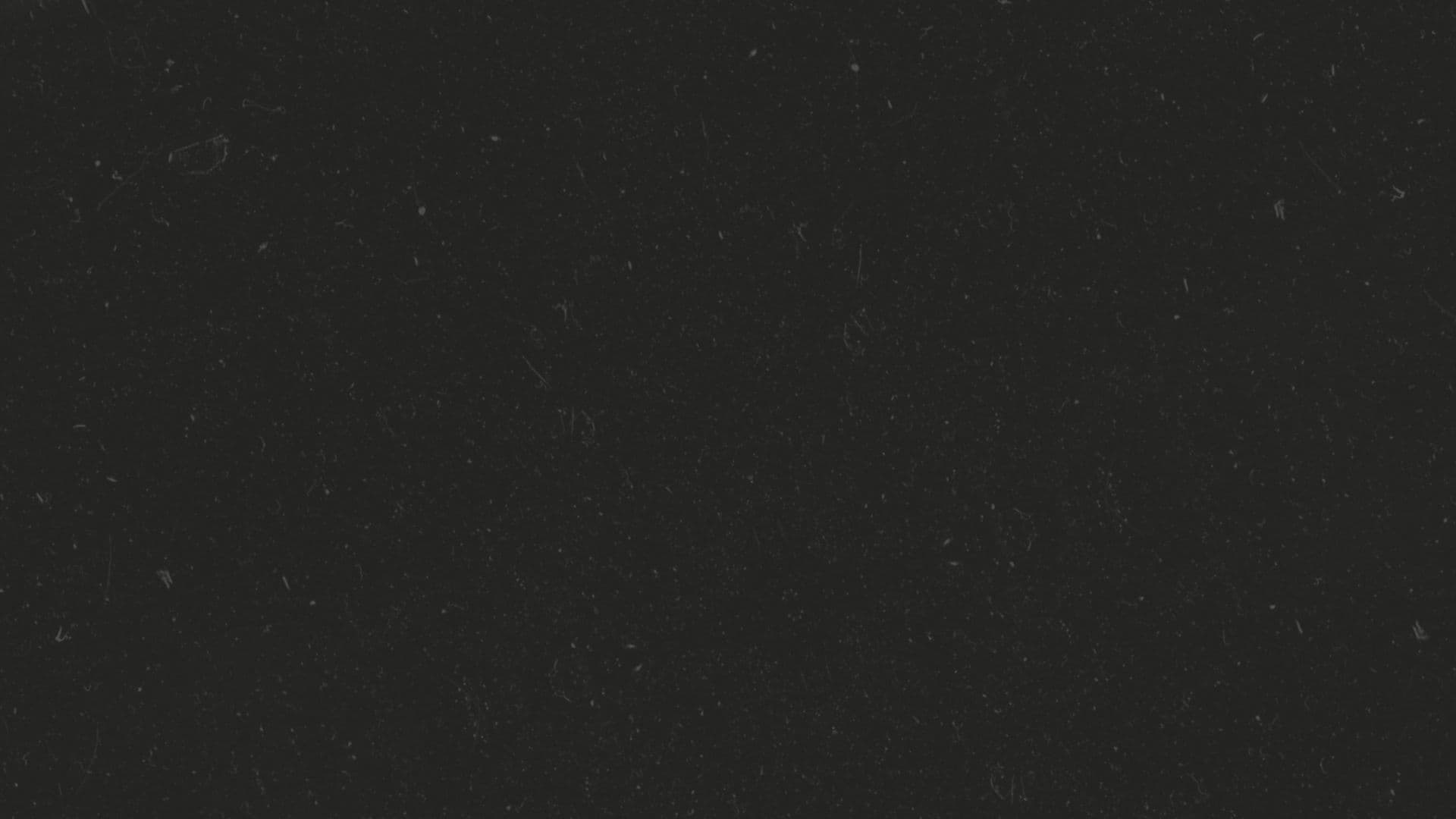 College Life: Unscripted