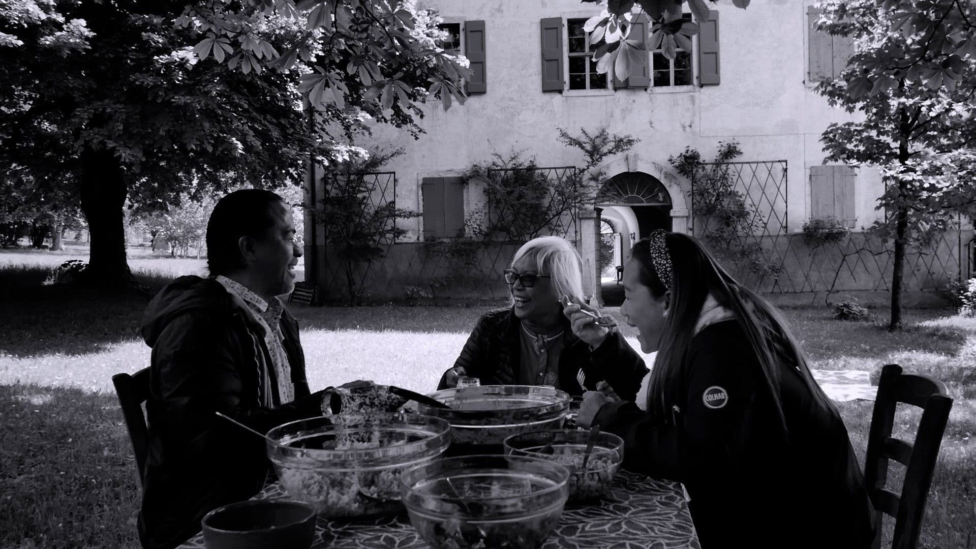 Where the Night Stands Still