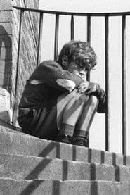 Stephen Archibald photo 7