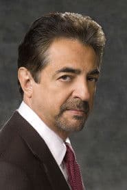 Joe Mantegna photo 9