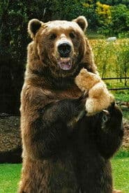 Bart the Bear photo 5