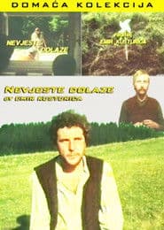 The Brides Are Coming