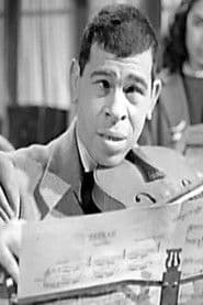 Safa El Gamil photo 3