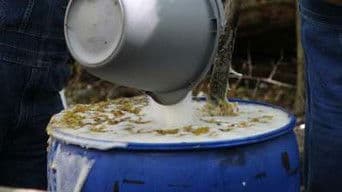 Arrested Development