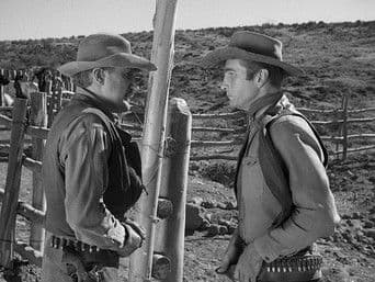 Incident of the Night Horse