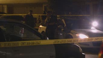 Gun Runner and In a Flash