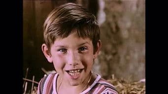 The Arrival of Celestine