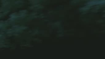 Countdown to Destruction