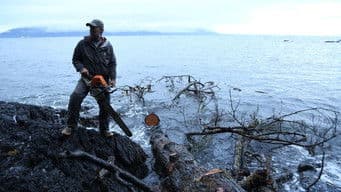 Rising from the Ashes