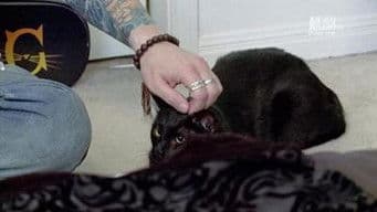 Multi-Million-Dollar Nightmare