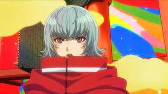 Fractured Reflections