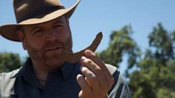 Donner Party Horror and Heroes