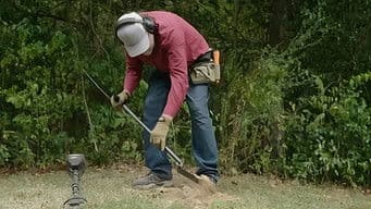 Everybody's Got a Guy