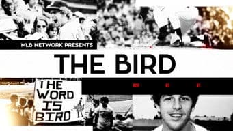 The Bird