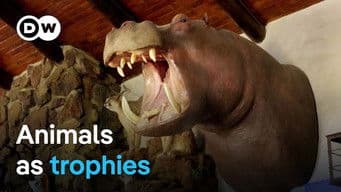 Trophy hunting