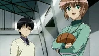 Mandarin Orange Meeting