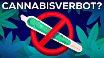 3 Arguments Why Marijuana Should Stay Illegal Reviewed