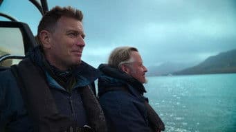 Ice, Snow, and Bears