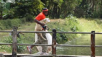 Don't Lay Down On Me Now