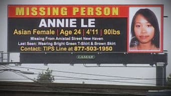 A Genius Disappears: The Annie Le Story