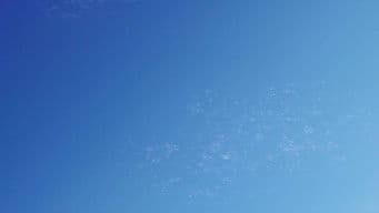 Mossa a sorpresa di Darius