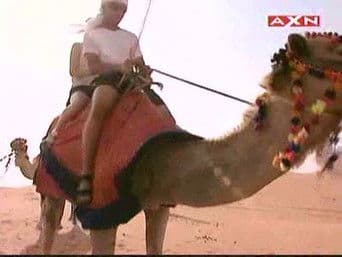 Oh My Goodness, I Have to Eat a Brain!