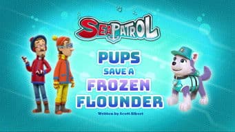 Sea Patrol: Pups Save a Frozen Flounder