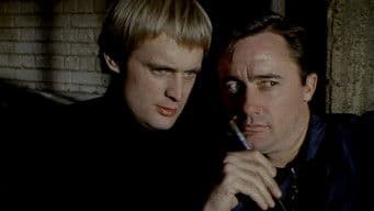 The Pieces of Fate Affair