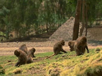 Ethiopia: Land of Extremes