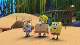 A Cabin of Curiosities