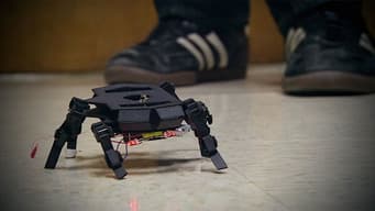 Rise of the Machines