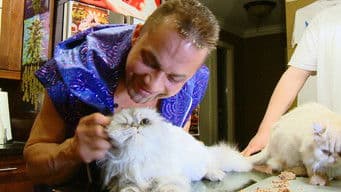 Part 3: Cat and Mouse