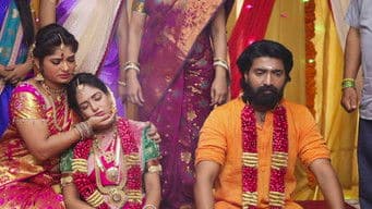 Chinnathambi Weds Nandini