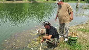 Panic in the Skies: Mid-Air Mayhem