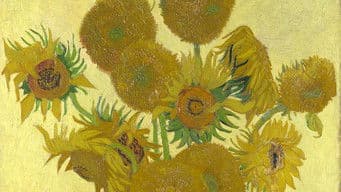 Vincent Van Gogh: The Sunflowers