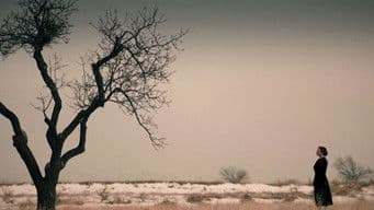 Power and Fikret are Shocking