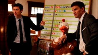 The Beaver in the Otter