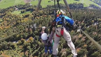 Leave It to the Professionals